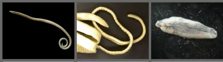 Cineálacha péisteanna