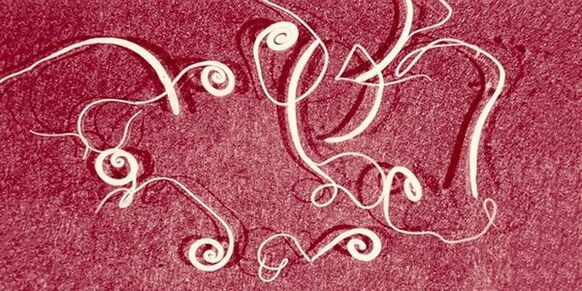 péisteanna pionnaí ó chorp an duine